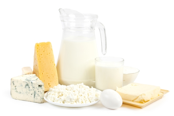 Food Group - Cheese, Milk and Dairy Products
